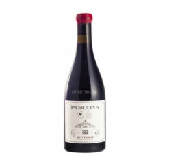 Pascona Clàssic 2020