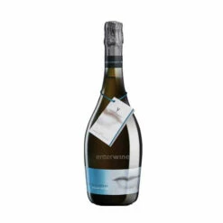 Albert De Vilarnau Chardonnay Pinot Noir 2013